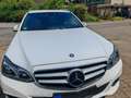 Mercedes-Benz E 250 E 250 BlueTec 4Matic (212.297) Blanc - thumbnail 7