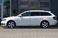 Skoda Octavia Combi 2.0 TDI DSG Premium Edition Blanc - thumbnail 7