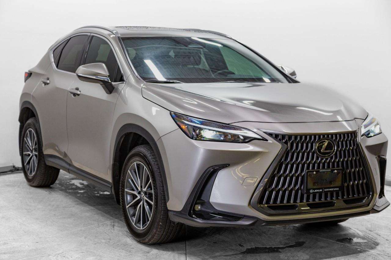 2025 Lexus NX PREMIUM PACKAGE | COOLING SEATS | APPLE CARPLAY
