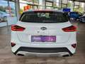 Kia XCeed Edition 7 Lenkrad heizbar, Sitzheizung Weiß - thumbnail 11