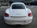 Porsche Cayman 2.9 MANUALE * 148.000 KM REALI * Bílá - thumbnail 5