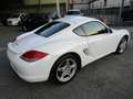 Porsche Cayman 2.9 MANUALE * 148.000 KM REALI * Білий - thumbnail 4