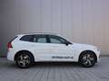 Volvo XC60 T8 Twin Engine AWD Geartronic R-Design Weiß - thumbnail 6