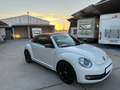 Volkswagen Beetle Cabrio 2.0TDI BMT Karmann 110kW Blanco - thumbnail 27