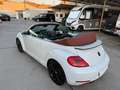 Volkswagen Beetle Cabrio 2.0TDI BMT Karmann 110kW Blanco - thumbnail 32