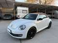Volkswagen Beetle Cabrio 2.0TDI BMT Karmann 110kW Blanco - thumbnail 36