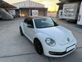 Volkswagen Beetle Cabrio 2.0TDI BMT Karmann 110kW Blanco - thumbnail 31