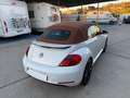 Volkswagen Beetle Cabrio 2.0TDI BMT Karmann 110kW Blanco - thumbnail 38