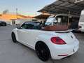 Volkswagen Beetle Cabrio 2.0TDI BMT Karmann 110kW Blanco - thumbnail 8