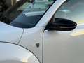 Volkswagen Beetle Cabrio 2.0TDI BMT Karmann 110kW Blanco - thumbnail 11