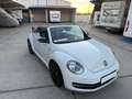 Volkswagen Beetle Cabrio 2.0TDI BMT Karmann 110kW Blanco - thumbnail 7