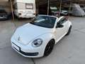 Volkswagen Beetle Cabrio 2.0TDI BMT Karmann 110kW Blanco - thumbnail 24