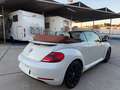 Volkswagen Beetle Cabrio 2.0TDI BMT Karmann 110kW Blanco - thumbnail 23