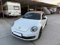 Volkswagen Beetle Cabrio 2.0TDI BMT Karmann 110kW Blanco - thumbnail 17
