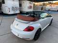Volkswagen Beetle Cabrio 2.0TDI BMT Karmann 110kW Blanco - thumbnail 16