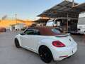 Volkswagen Beetle Cabrio 2.0TDI BMT Karmann 110kW Blanco - thumbnail 34