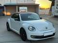 Volkswagen Beetle Cabrio 2.0TDI BMT Karmann 110kW Blanco - thumbnail 37