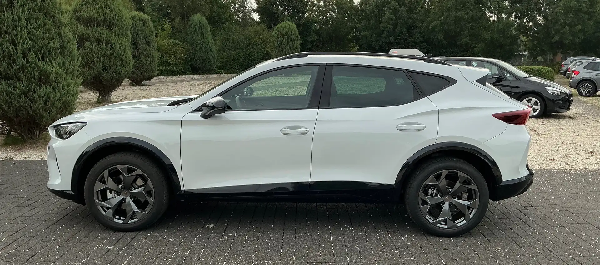 CUPRA Formentor 1.5 eTSI 110 kW Blanc - 2