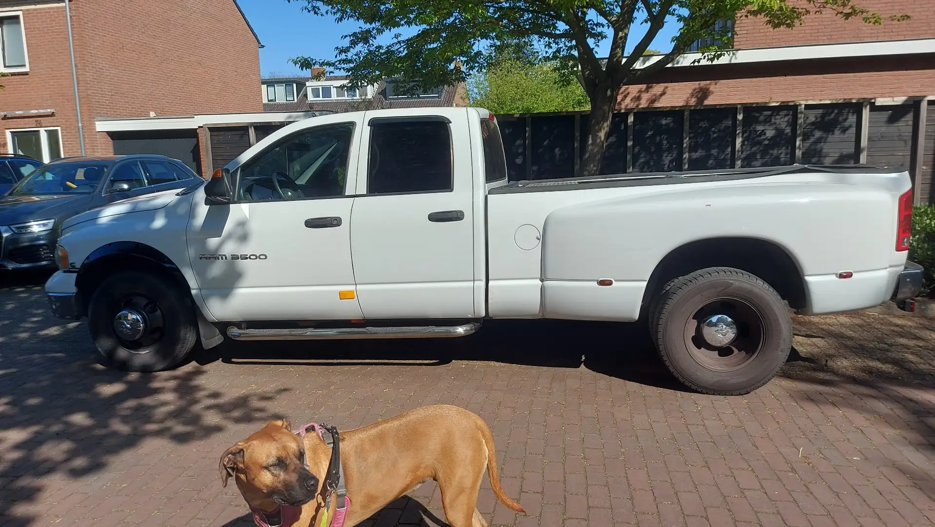 Dodge RAM 3500 QuadCab Dually Longbed 5.9 24V CUMMINS TD Blanco - 2