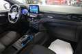 Ford Kuga 2.5 Plug In Hybrid 225 CV CVT 2WD ST-Line Bleu - thumbnail 10