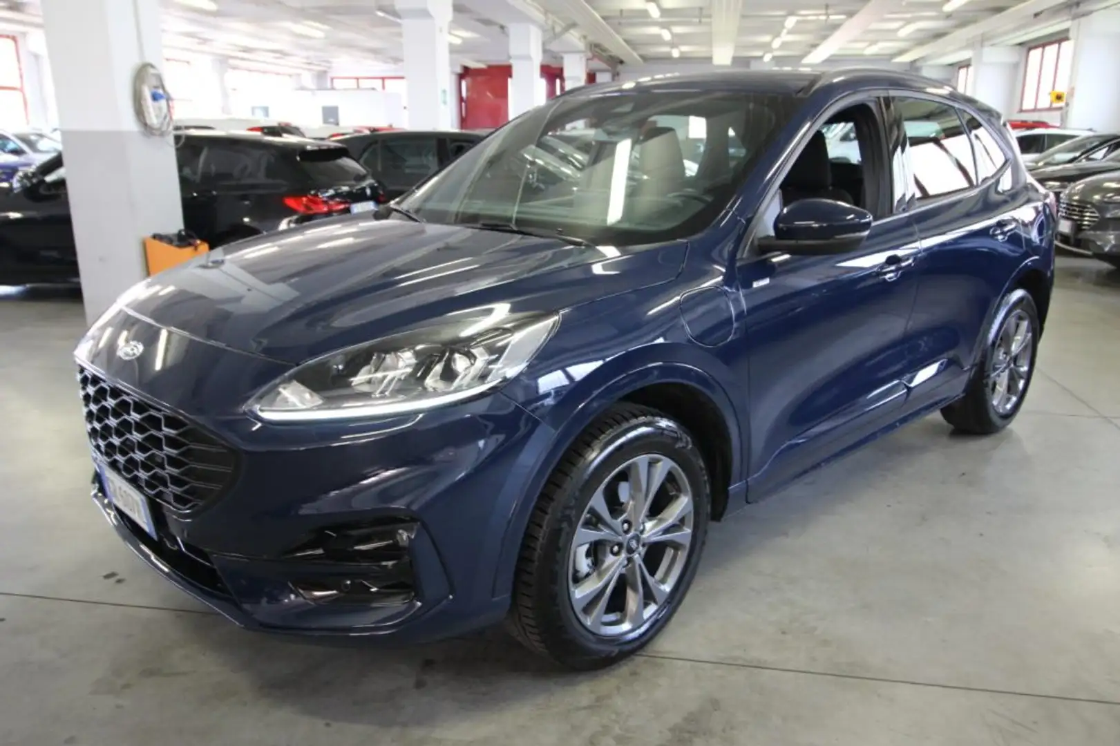 Ford Kuga 2.5 Plug In Hybrid 225 CV CVT 2WD ST-Line Bleu - 2