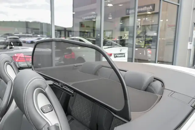 Audi S5 view 18