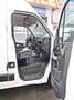 Opel Movano CDTI 2,3 l CDTI   L2H2  AdBlue Kima  LKW Blanc - thumbnail 17
