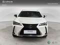 Lexus UX 250h 2WD BUSINESS Weiß - thumbnail 5