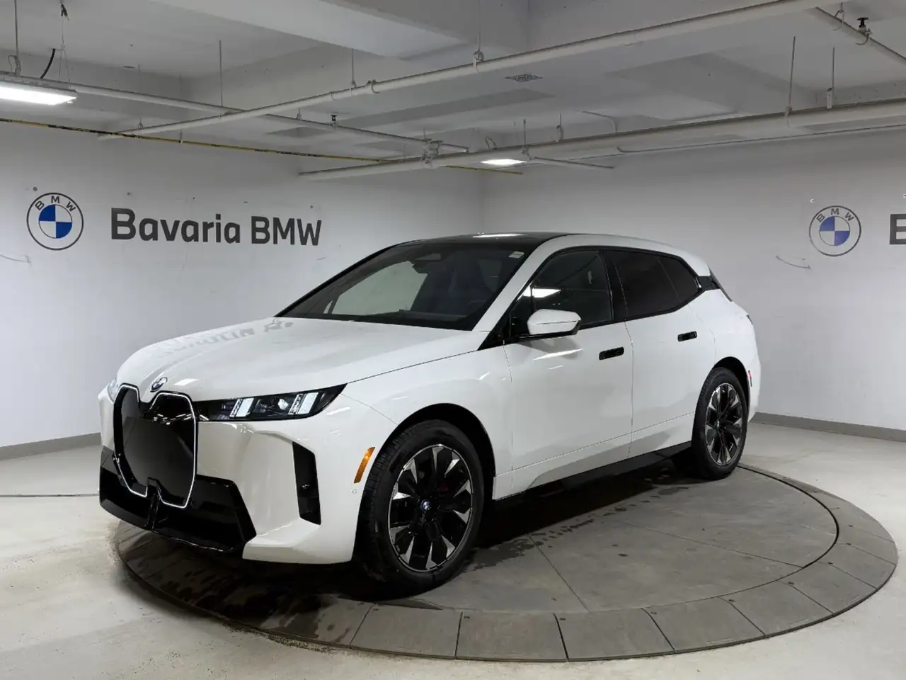 2026 BMW iX