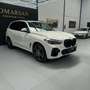 BMW X5 xDrive 30dA xLine Blanco - thumbnail 11