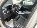 BMW X5 xDrive 30dA xLine Blanco - thumbnail 30