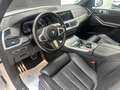 BMW X5 xDrive 30dA xLine Blanco - thumbnail 31