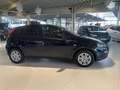 Fiat Punto 1.2 8V Blau - thumbnail 5