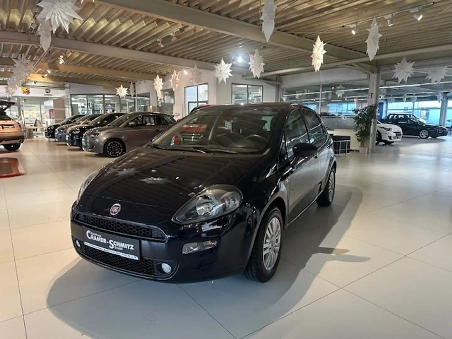 Fiat Punto 1.2 8V Blau - 2