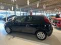 Fiat Punto 1.2 8V Blau - thumbnail 10