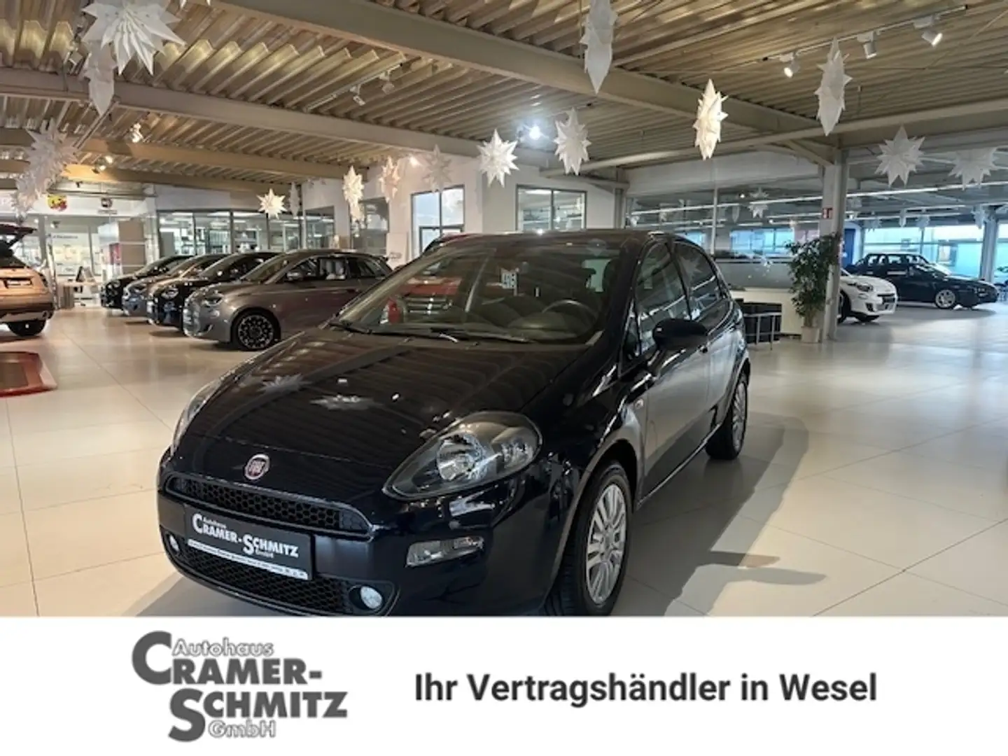 Fiat Punto 1.2 8V Blau - 1