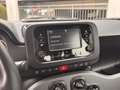 Fiat Panda 1.0 FireFly Hybrid 70cv City Life S&S 5p.ti Grigio - thumbnail 7