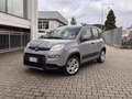 Fiat Panda 1.0 FireFly Hybrid 70cv City Life S&S 5p.ti Grigio - thumbnail 5