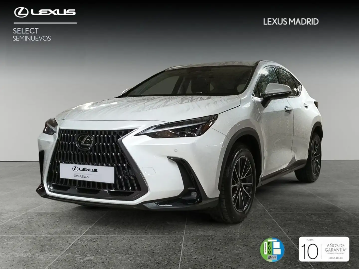 Lexus NX 350h Business City 2WD Bianco - 1