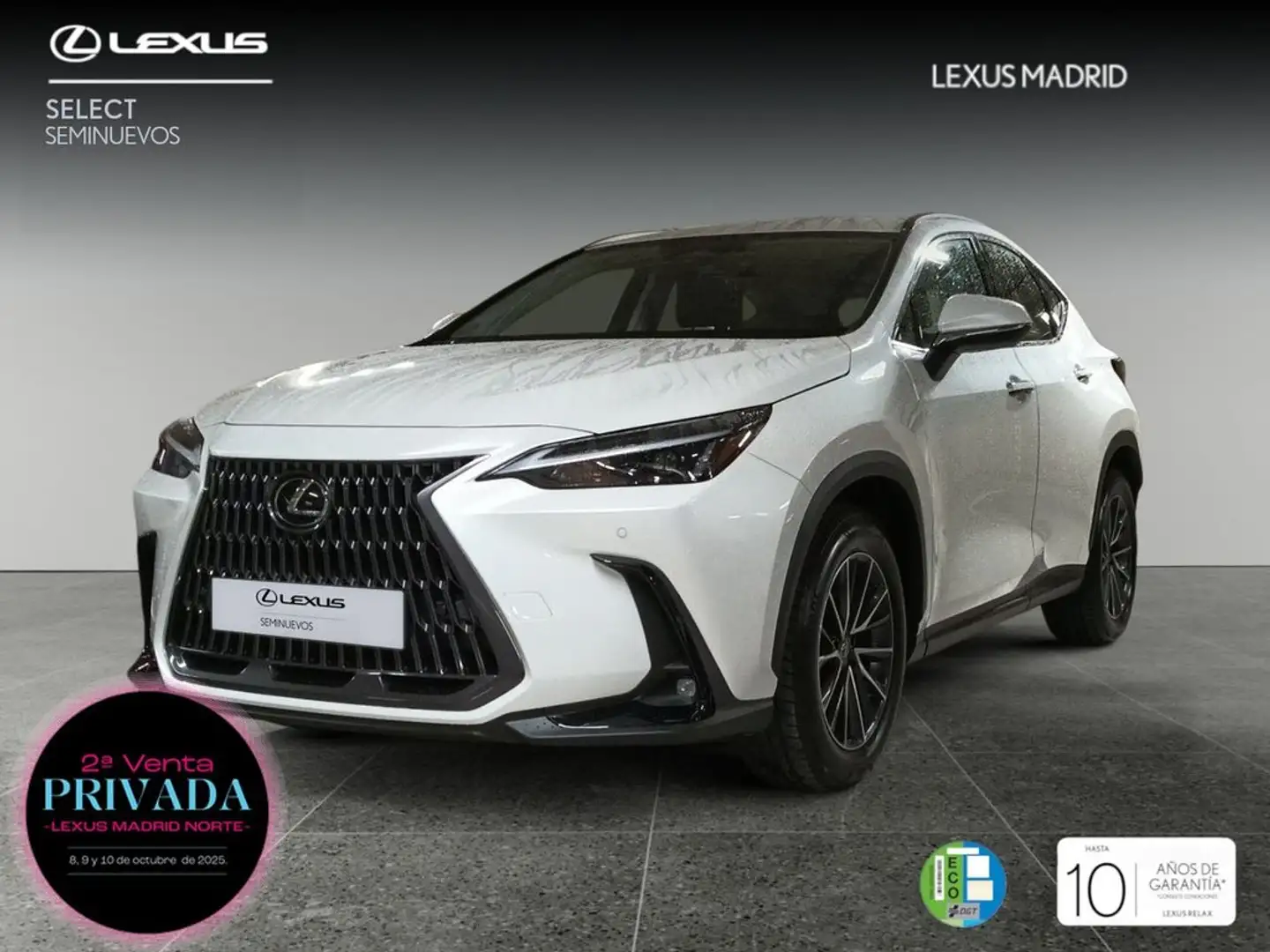 Lexus NX 350h Business City 2WD Weiß - 1