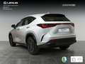 Lexus NX 350h Business City 2WD Weiß - thumbnail 2