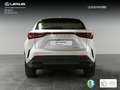 Lexus NX 350h Business City 2WD Weiß - thumbnail 4