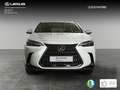 Lexus NX 350h Business City 2WD Weiß - thumbnail 5