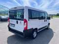 Fiat Ducato 30 2.3 MJT 140CV PC-TN Panorama 9 Posti Blanc - thumbnail 3