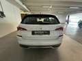 Skoda Kamiq - Kamiq 1.0 TSI Ambition Bianco - thumbnail 5