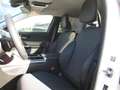 Mercedes-Benz C 220 d 4MATIC T-Modell Avantgarde Weiß - thumbnail 7