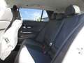 Mercedes-Benz C 220 d 4MATIC T-Modell Avantgarde Blanco - thumbnail 9