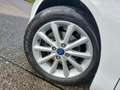 Ford B-Max 1.0 EcoBoost S&S finition Trend Wit - thumbnail 7