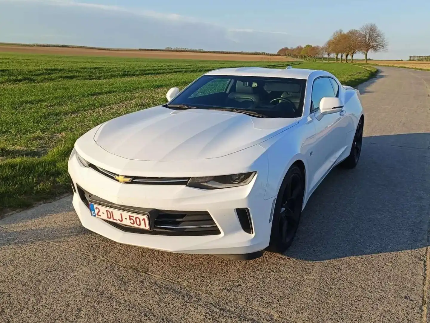 Chevrolet Camaro Camaro Coupe 2.0 Aut. Blanc - 1