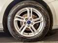 Ford Focus 1.5 ecoblue Business s&s Argento - thumbnail 7